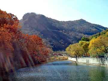 新澳天天开奖资料大全旅游团，祺祥通宝